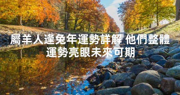 屬羊人逢兔年運勢詳解 他們整體運勢亮眼未來可期